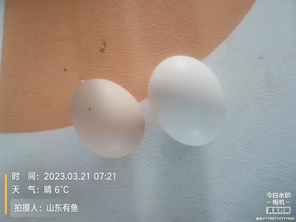 6205345905_d59a564256-160x160