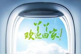 终于等到了！旅居美国的大熊猫丫丫已启程回国，网友：欢迎回家