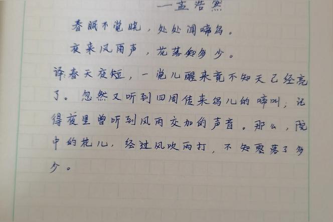 清新可人意思？