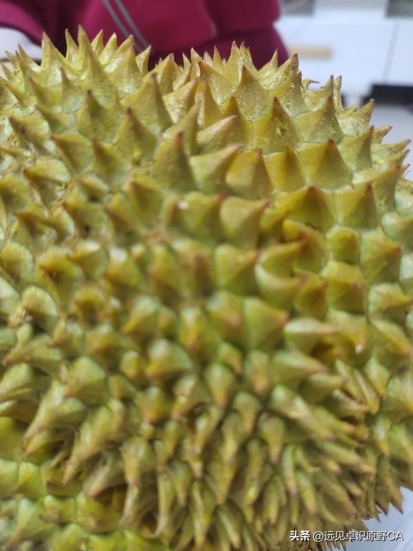 6205345905_d59a564256-160x160