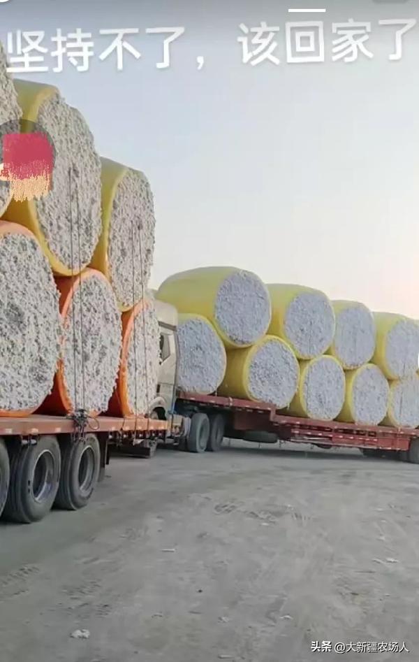 2022新疆棉花价格暴涨（新疆棉花价格上涨）