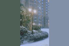 「夜听」【夜听】2023，你要学会好好珍惜