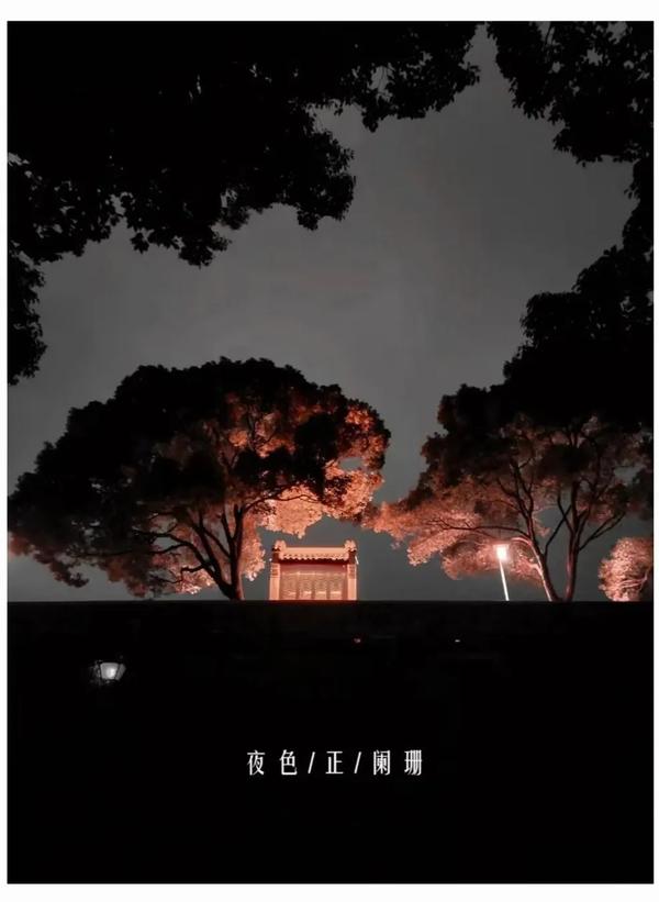 夜色阑珊英文（夜色阑珊英文版歌名）