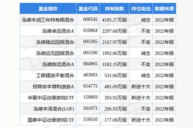 光线传媒股价暴跌