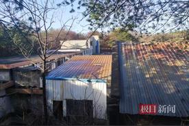 关于胡鑫宇事件这些都是谣言