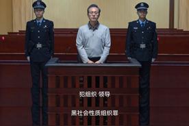 高启强原型是谁？导演揭秘
