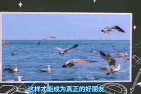 家长带男孩抓海鸥硬生生塞进罐子