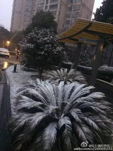 2016年苏州的第二场雪来了！有两件事必须要提醒你们！