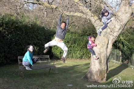 刘烨一家四口猴上树，网友评论：你咋不上天呢！
