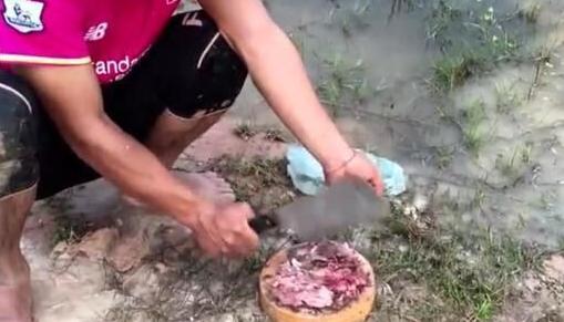 河边挖坑放上肉 几个小时就逮了一桶螃蟹