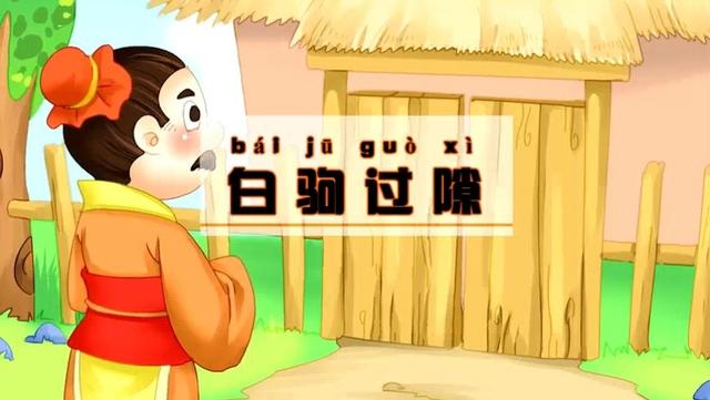 白驹过隙是什么意思白驹过隙下一句是什么