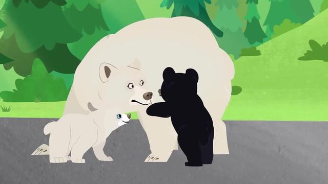 黑熊在冬季是靠着舔自己的爪子来度过的吗