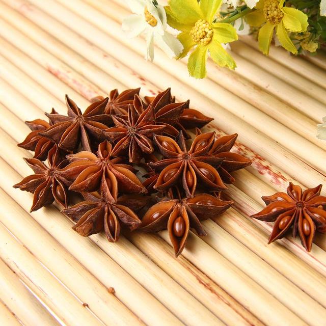 八角什么时候放八角种子发芽过程图