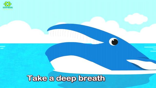 鲸鱼用英语怎么写(鲸鱼的英语单词怎么写)