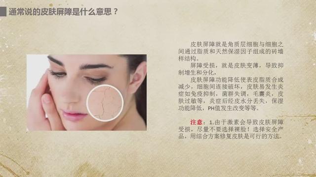 屏障是什么意思(屏障的解释)