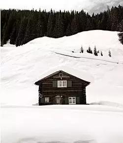 豆瓣2016年度悬疑推理《猎豹》