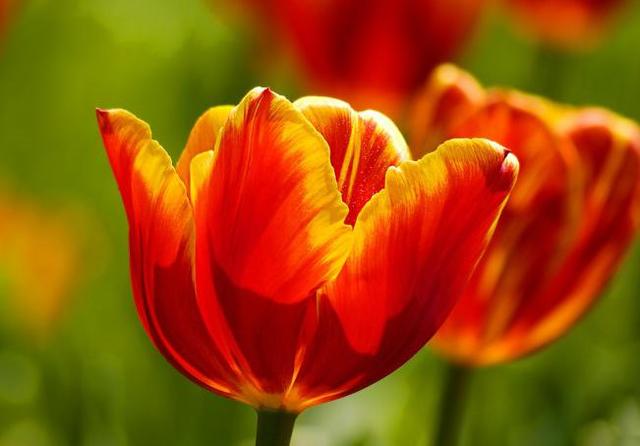 yuck是什么意思(yuckl)