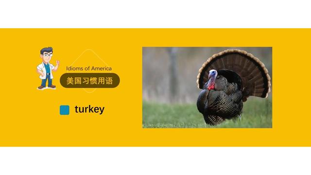 十六世纪之前的欧洲没有火鸡存在.