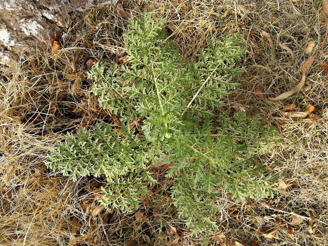 莪是什么意思巭孬怎么读