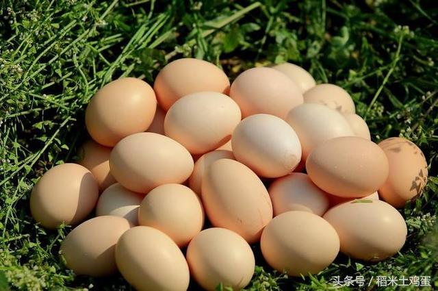 城里那些年，这是你吃到的第几颗真正土鸡蛋？