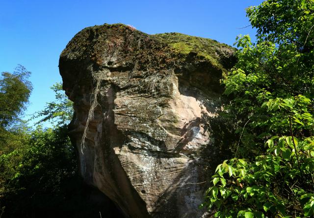 泸州：这些石头像一头头狮子