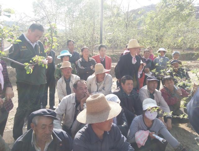 静宁县科协、农技协联合会、五洲果蔬科技协会联合举办春季果园管理培训会