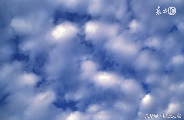 24句王小波的《黄金时代》经典语录，句句经典