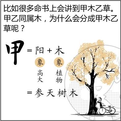 食神格成格条件十大贵命命格