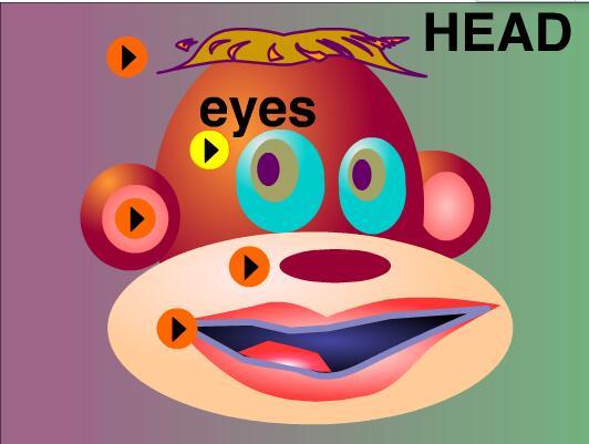 头用英语怎么读(脸用英语怎么读)