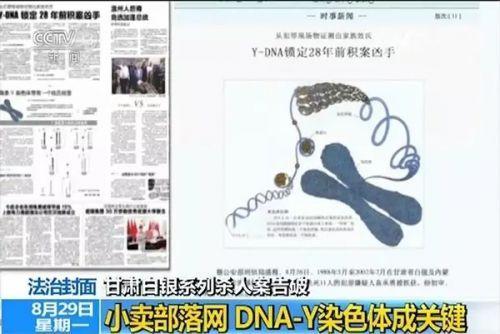 白银连环奸杀案连环杀人案始末