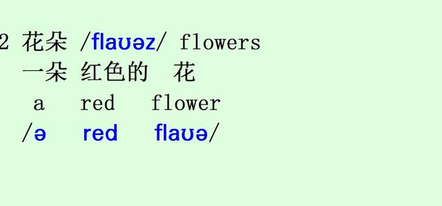 花朵用英语怎么说(花朵用英语怎么说翻译)