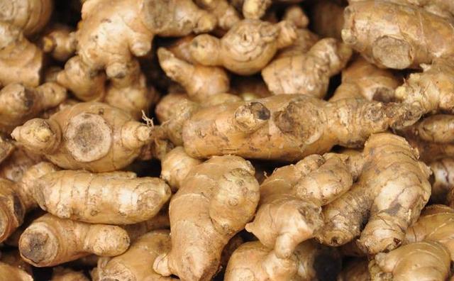 生姜多高打顶 友邦知识网 生姜多高打顶 友邦知识网