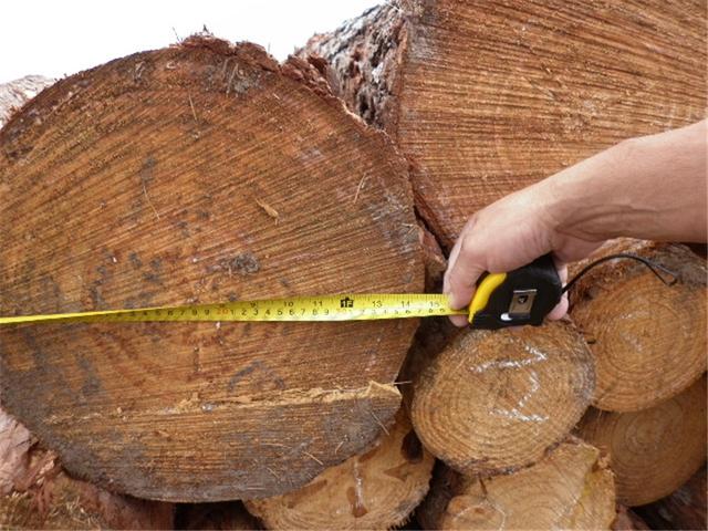 检尺什么意思检尺和过磅的区别