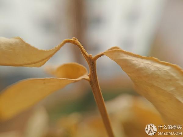 继续用魅族：PRO5上手体验
