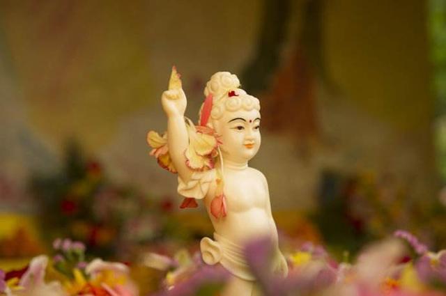 修行的人修的是阳神还是阴神？