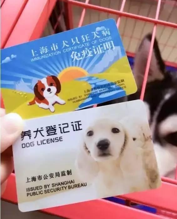 上海养狗一定要办狗证吗
