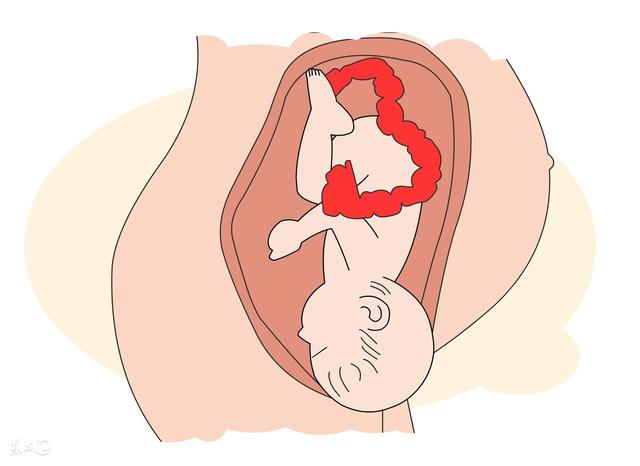 生孩子的流程男女要生孩子的过程