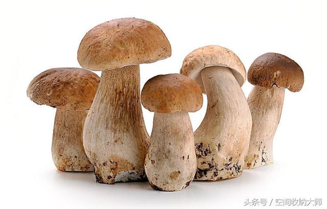 1分钟让蔬菜保鲜10天？这些保鲜妙招，简直佩服佩服！