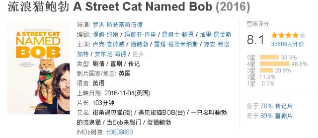 豆瓣8.1分治愈系电影,一只看到就会让人上瘾的猫!