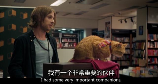豆瓣8.1分治愈系电影,一只看到就会让人上瘾的猫!