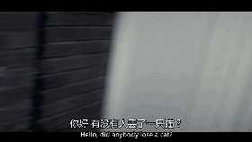 豆瓣8.1分治愈系电影,一只看到就会让人上瘾的猫!