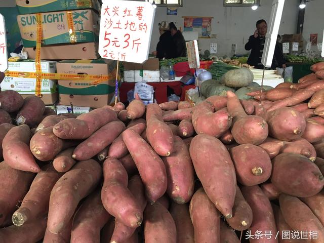 红薯多少钱(红薯价格多少钱一斤)