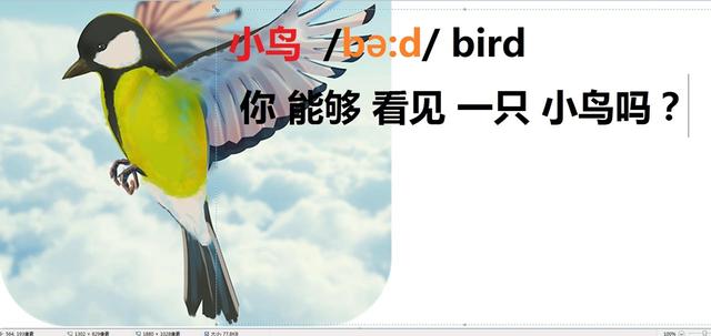 小鸟用英语怎么发音(小鸟的英语单词)