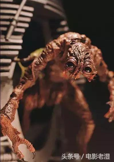 上百部高分恐怖片，全看完我敬你是条汉子（第一季）