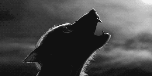 为了90美元，他们在实验里成为真实的恶魔与羔羊，仅6天就已失控