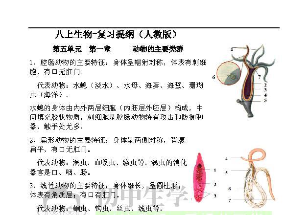 辐射对称是什么意思(辐射对称名词解释)