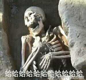2017年五十条自带喜感的新闻 网友:感觉比段子还像段子