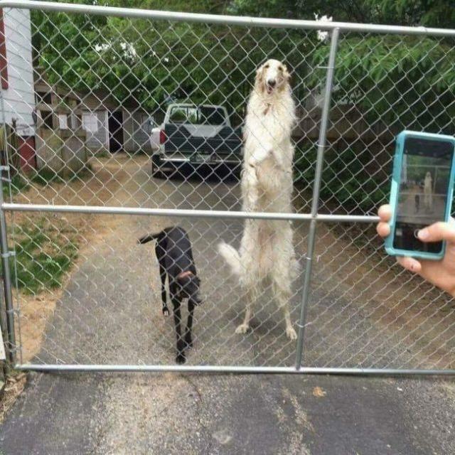 一组让你怀疑世界的照片，绝对没有PS!