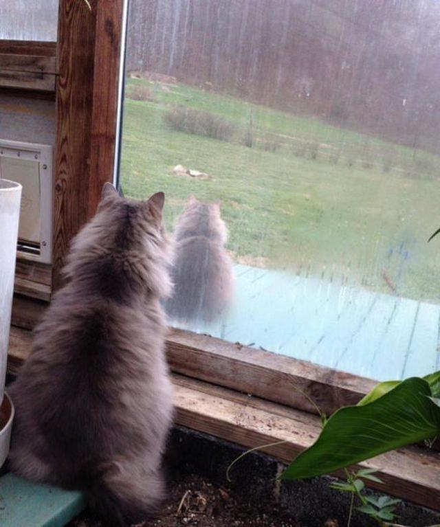 一组让你怀疑世界的照片，绝对没有PS!