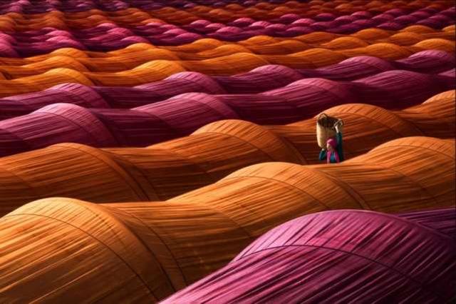 19张不可思议的照片，竟然没有PS过！